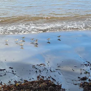  Hébergement de vacances La Kaz Nature Bien-etre